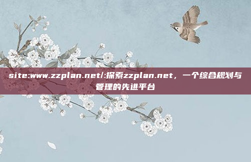 site:www.zzplan.net/:探索zzplan.net，一个综合规划与管理的先进平台