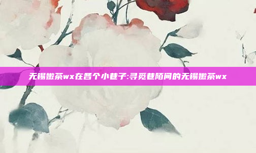 无锡嫩茶wx在各个小巷子:寻觅巷陌间的无锡嫩茶wx