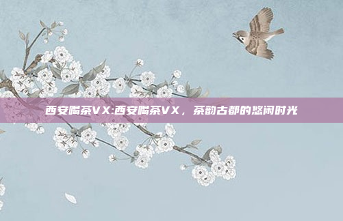 西安喝茶VX:西安喝茶VX，茶韵古都的悠闲时光