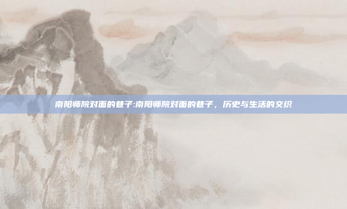 南阳师院对面的巷子:南阳师院对面的巷子，历史与生活的交织