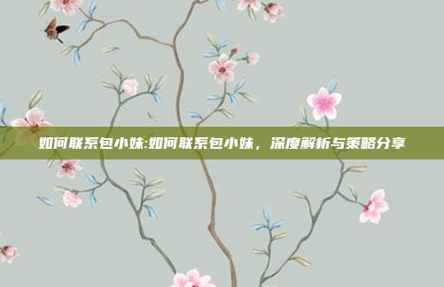 如何联系包小妹:如何联系包小妹，深度解析与策略分享