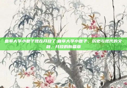 曲阜大学小巷子现在开放了:曲阜大学小巷子，历史与现代的交融，开放的新篇章