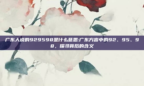 广东人说的929598是什么意思:广东方言中的92、95、98，探寻背后的含义