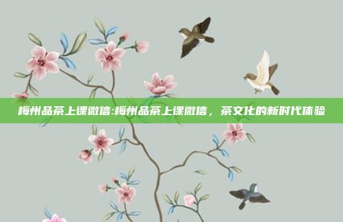 梅州品茶上课微信:梅州品茶上课微信，茶文化的新时代体验