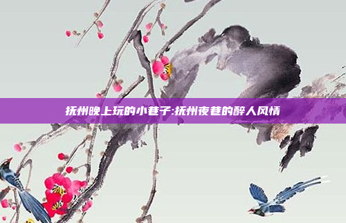 抚州晚上玩的小巷子:抚州夜巷的醉人风情