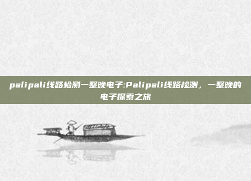 palipali线路检测一整晚电子:Palipali线路检测，一整晚的电子探索之旅