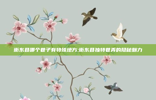 衡东县哪个巷子有特殊地方:衡东县独特巷弄的隐秘魅力