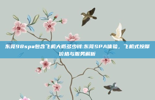 东莞98spa包含飞机大概多少钱:东莞SPA体验，飞机式按摩价格与服务解析