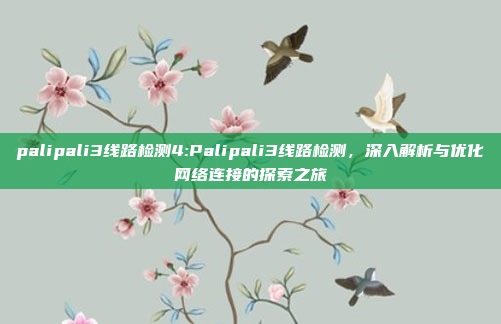 palipali3线路检测4:Palipali3线路检测，深入解析与优化网络连接的探索之旅