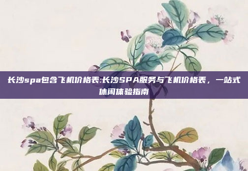 长沙spa包含飞机价格表:长沙SPA服务与飞机价格表，一站式休闲体验指南