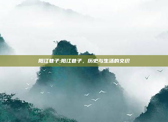 阳江巷子:阳江巷子，历史与生活的交织