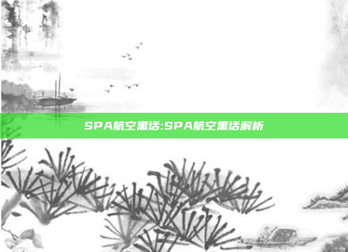 SPA航空黑话:SPA航空黑话解析