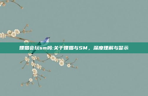 嫖娼会玩sm吗:关于嫖娼与SM，深度理解与警示