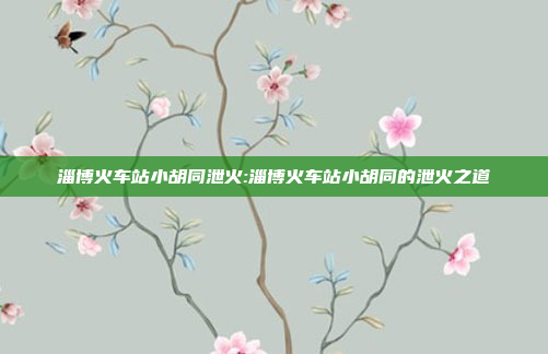 淄博火车站小胡同泄火:淄博火车站小胡同的泄火之道