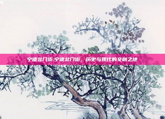 宁德北门街:宁德北门街，历史与现代的交融之地