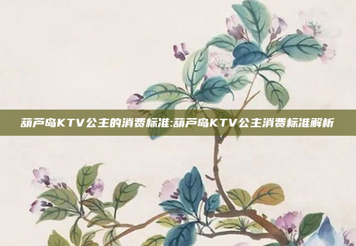 葫芦岛KTV公主的消费标准:葫芦岛KTV公主消费标准解析