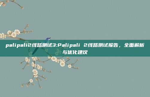 palipali2线路测试3:Palipali 2线路测试报告，全面解析与优化建议