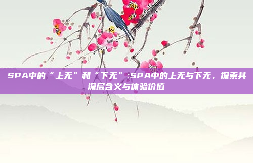 SPA中的“上无”和“下无”:SPA中的上无与下无，探索其深层含义与体验价值