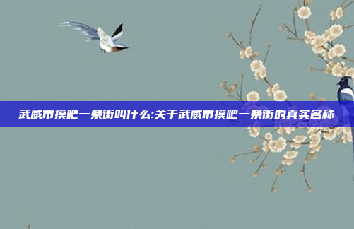 武威市摸吧一条街叫什么:关于武威市摸吧一条街的真实名称