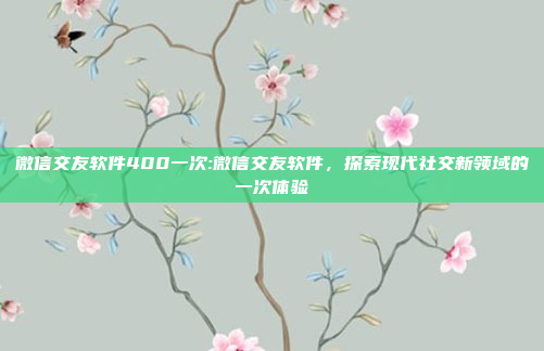 微信交友软件400一次:微信交友软件，探索现代社交新领域的一次体验