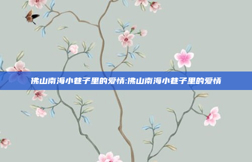 佛山南海小巷子里的爱情:佛山南海小巷子里的爱情