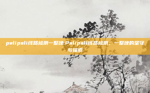 palipali线路检测一整晚:Palipali线路检测，一整晚的坚守与探索