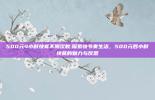 500元4小时快餐不限次数:探索快节奏生活，500元四小时快餐的魅力与反思