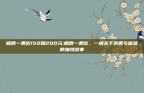 栖霞一条街150和200元:栖霞一条街，一场关于消费与体验的独特故事