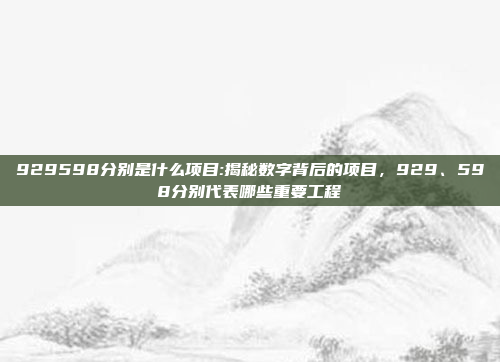 929598分别是什么项目:揭秘数字背后的项目，929、598分别代表哪些重要工程