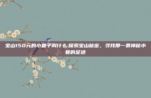 宝山150元的小巷子叫什么:探索宝山秘密，寻找那一条神秘小巷的足迹