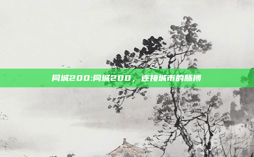 同城200:同城200，连接城市的脉搏