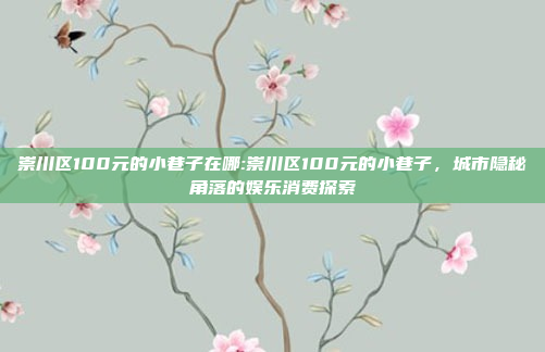 崇川区100元的小巷子在哪:崇川区100元的小巷子，城市隐秘角落的娱乐消费探索